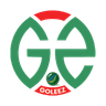 Goleez Logo